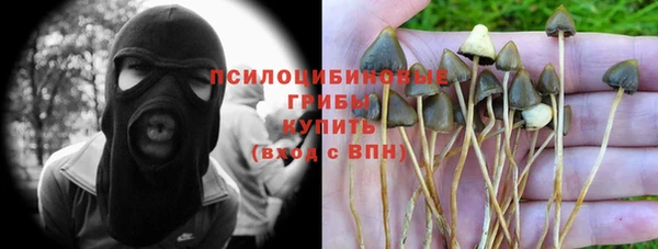 первитин Алексеевка