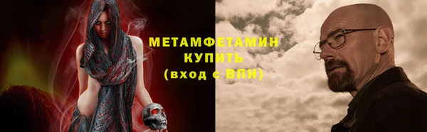 сатива Болотное