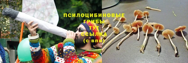 спиды Абдулино