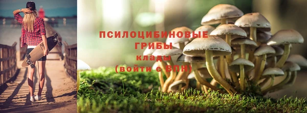 спиды Абдулино
