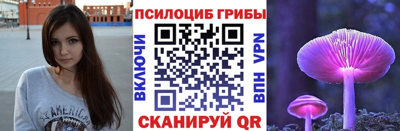 blacksprut как войти  Новоульяновск  Псилоцибиновые грибы прущие грибы 